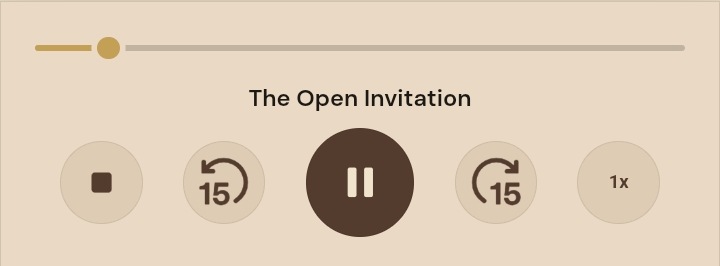 Paper mode audio dock with progress bar and five playback controls