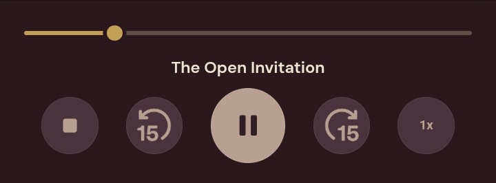 Night mode audio dock with progress bar and five playback controls